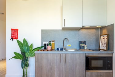 Skyline Platinum Studio - Image 5